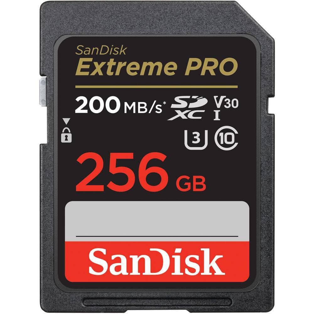 CARTE MEMOIRE 256GB